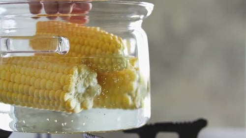Corn on the Cob Boiling in Clear Pot