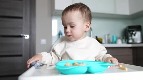 Adorable toddler eating lunch in kitchen