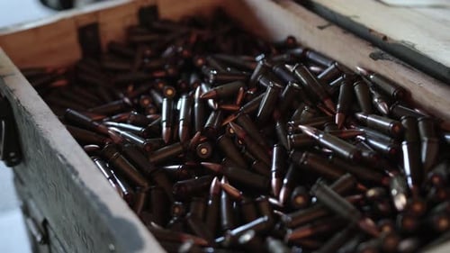 Ammunition in a Wooden Box, close up