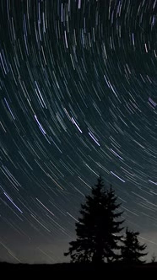Star Trails Time Lapse above Silhouetted Trees