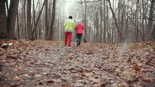 Senior Old Women in Autumn Park Have Training Nordic Walking