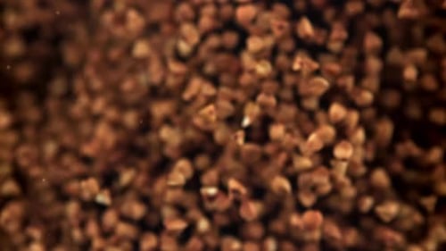 Buckwheat Flies Up and Falls Down Filmed on a Highspeed Camera at 1000 Fps