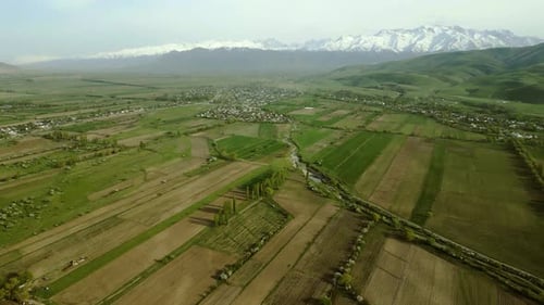 Aerial view of fields during spring