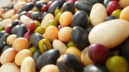 Pile of Colorful Raw Beans and Legumes