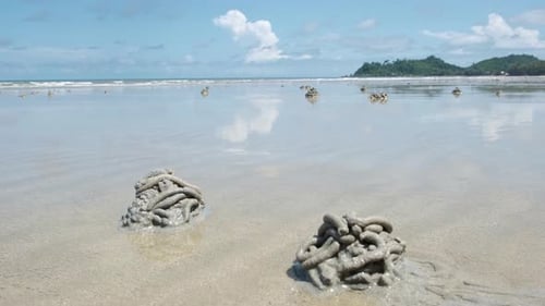 Des coulées de vers de terre sur une plage de sable de Koh Chang par une journée ensoleillée en Thaïlande.