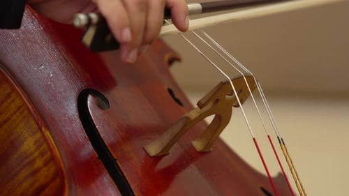 Close-Up Shot Showcasing the Artistic Design of a Brown Cello, Paired with a French Bow at Rest.