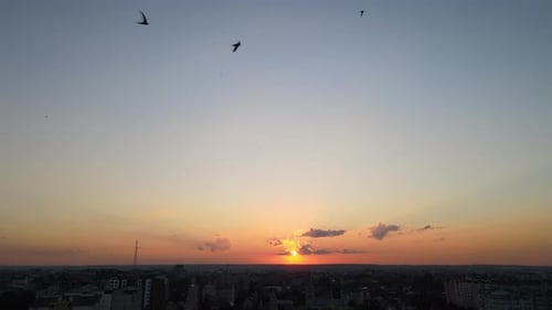 Tranquil Birds Fly over City at Sunset