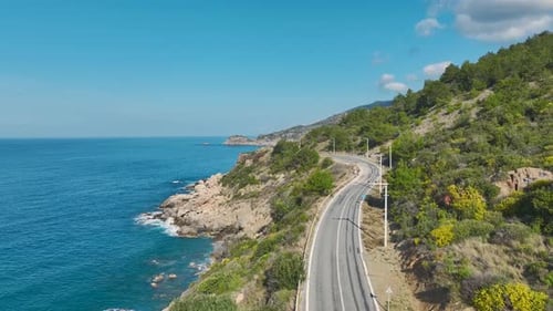 Aerial Video of Road By the Coast and Forest Hills