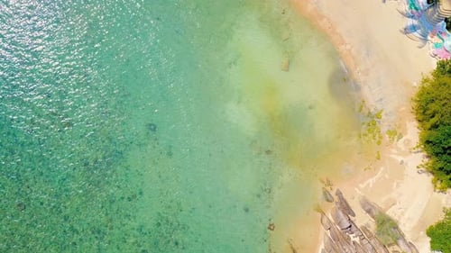 Tropical sand beach with palm trees in sunset, sunrise, aerial dolly shot flying through the trunks,