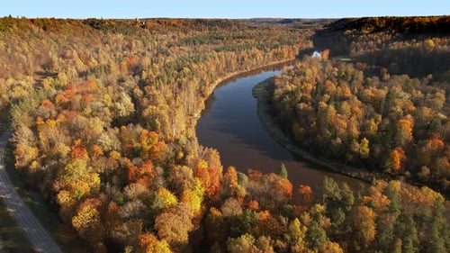 Autumn foliage along a winding river in a serene landscape