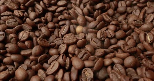 Close up of seeds of coffee. Fragrant coffee beans are roasted smoke comes from coffee beans.