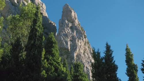 Rocky Ridge in the Middle of the Trees