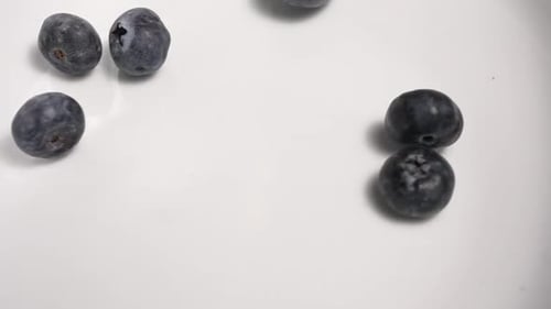 Blueberries 03