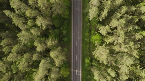 Aerial top-down shot over the empty straight asphalt road in between the green trees