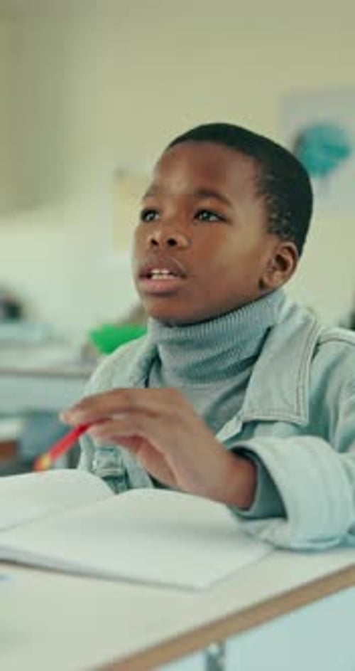 Boy raising hand in elementary school classroom