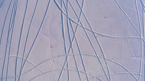 A Small Snowcovered Glade with Many Ski Trails and Single Christmas Trees Against the Background of