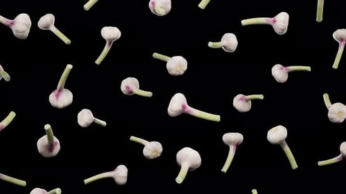 Realistic Falling Garlic Cloves Loop