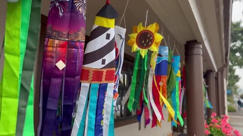 Creative Windsock Art Blowing outside on Sunny Day