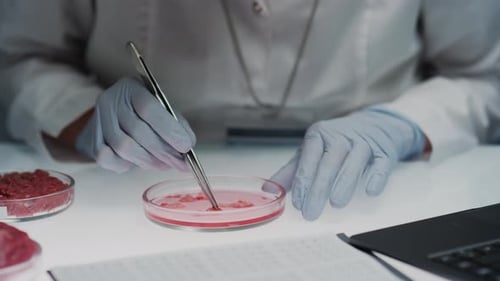 Lab Researcher Analyzing Meat Samples in Petri Dishes