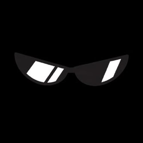Minimalist Sunglasses Quick Reveal Animation
