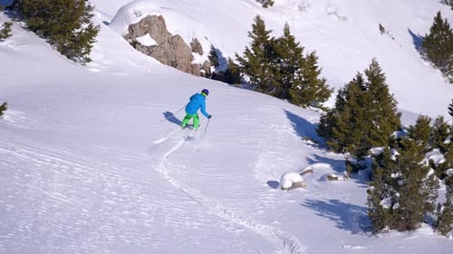 Slow Motion Skier