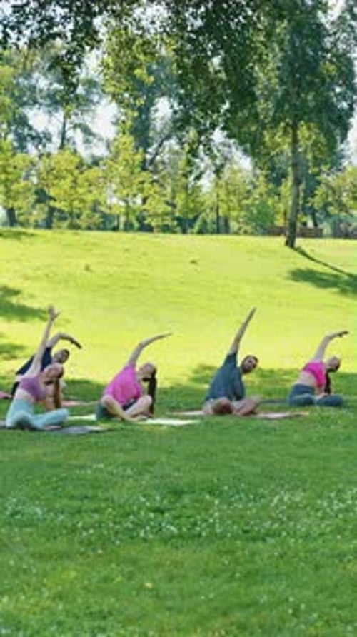 Vertical Screen Group Yoga Side Stretch in Sunny Park