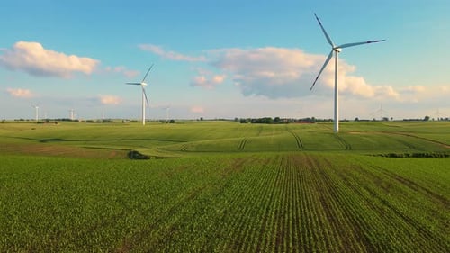 Wind Turbines in Green Farmland on Sunny Day