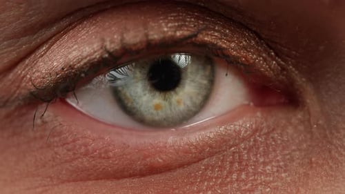 Woman Eye Macro Detailed Closeup of an Eye with Colorful Contact Lenses with Long Eyelashes and a