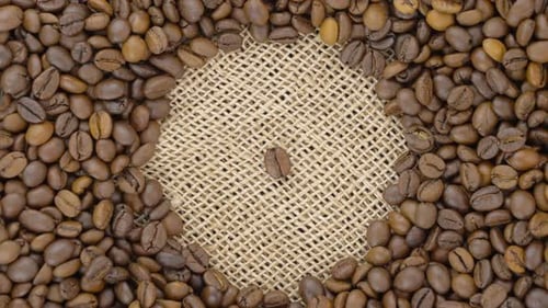 Coffee Beans Roasted Coffee Beans Top View