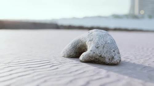 Old White Coral on Sand Beach