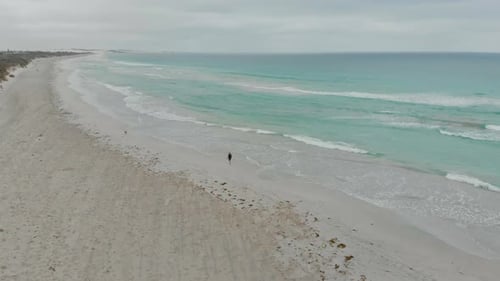 Aerial view of serene beach with dog, Australia.
