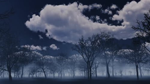 Movement in a dark forest in the fog against the background of night clouds.