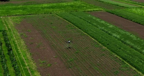 Aerial Drone Flying Over a Cultivated Farm Field During a Crop Monitoring or Spraying Mission
