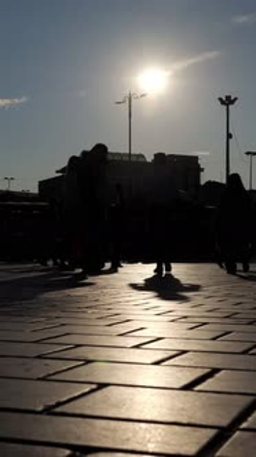 Crowd of Silhouetted People Walking in the Sun