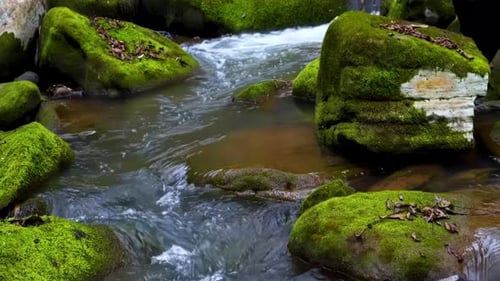 Nature little waterfall crystal clear water falling down the rock of mountain stream, Wild river rap