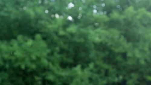 Water Drops Flying in Slow Motion on Background of Green Trees Outdoors