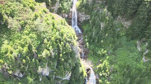 waterfall among forest