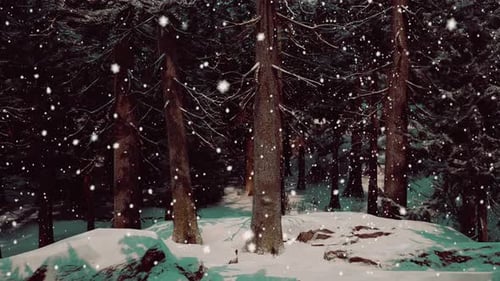 Winter Forest in the Snow