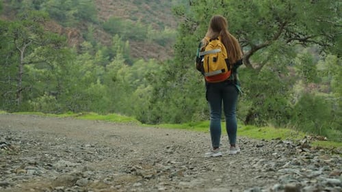 Young Woman with a Backpack on a Rocky Mountain Road, Admiring the View of the Forest and Tall Cliff