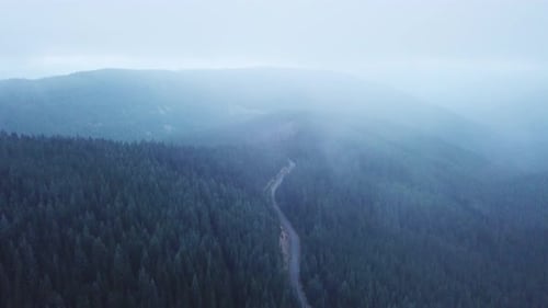 Mysterious Aerial Journey Through A Mist-Covered Forest With A Grey Road Cutting Through