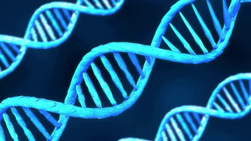 Rotating Blue DNA Strands 3D Animation