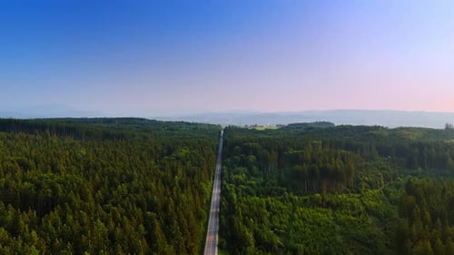 Flying high over the long straight highway crossing the huge forest. Wilderness on sunny day.