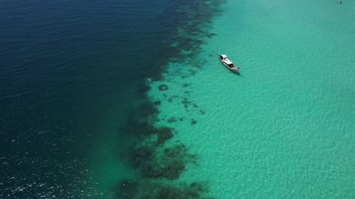 Footage of tourist snorkeling diving and tourism long-tailed boats float on the sea.