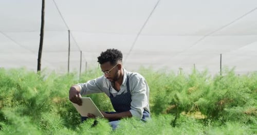 Farmer with Tablet Inspecting Lush Green Crops