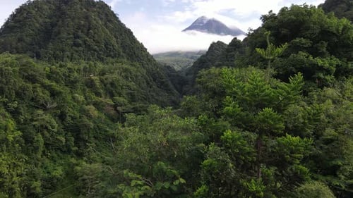 Beautiful view of Mount Merapi in the morning between the green hills. The mountain is in Yogyakara,