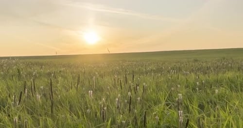 Hill Meadow Timelapse at the Summer or Autumn Time