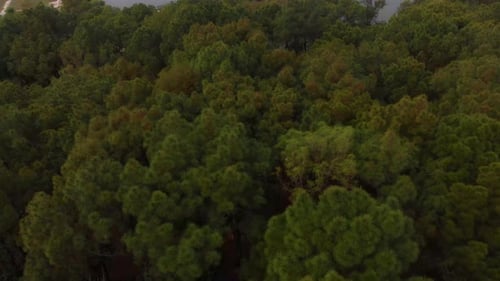Aerial view of abandoned waterpark at sunrise, Vietnam.
