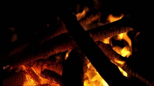 Fire