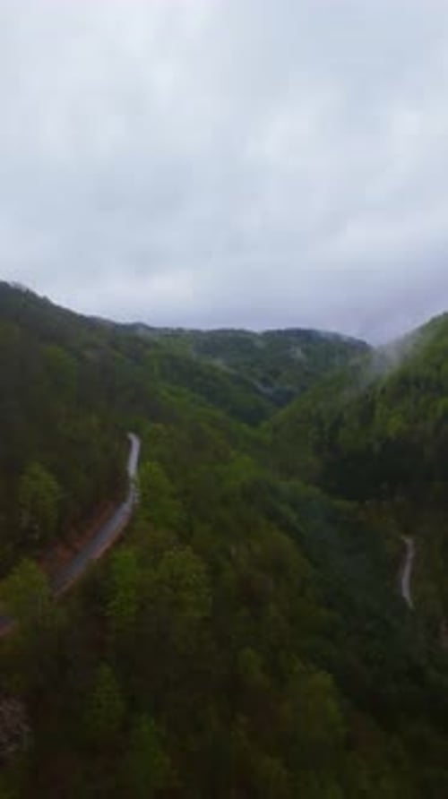 Vertical Video Aerial View of Misty Green Mountains Covered with Lush Forest Fog Drifting Through