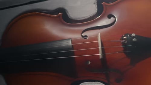 Geige ist bei Case in Smoking Dark Studio Closeup
